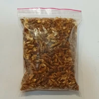 Живой зерновой мицелий вешенки - 100 г