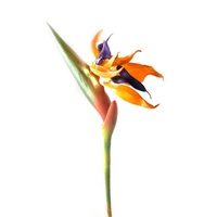 Цветок "Стрелиция" (92 см)