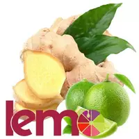 Фруктовое пюре для чая коктейлей лимонада LEMO Имбирь-Лайм